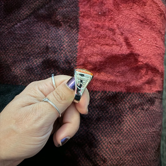 Houston Astros MLB Championship Ring - Picture 3 of 3